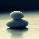 與狼～共舞