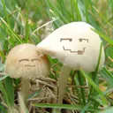 爱你十六笔画