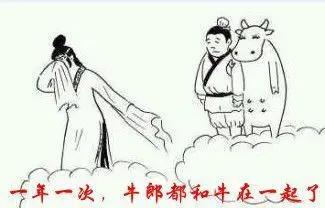 東北少帥的主播照片