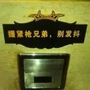 电鸟💉💉