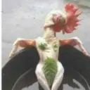 小妞儿你日后必成大器