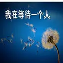 山寨外-飘^零〃黄叶