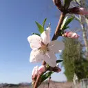 ╰、折腾的寂寞ˇ一①