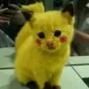 超级大坑货