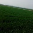 ←═╬∞南哥￥