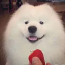卐眼卐缘卐