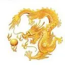 强哥☀️友开森