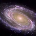 紫天星