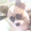 波涛五月
