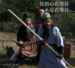 开心秋雨的主播照片