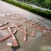 囚禁我的回忆