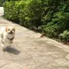 💕小哈哈~