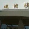 宁津县金宏机械