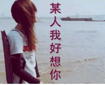 東北少帥的主播照片