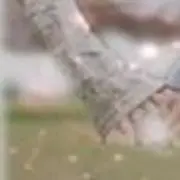╰安家军™▶蓝魔™