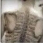 火花生米
