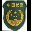 手握钢枪的陶醉
