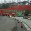 寻求幸福的未来