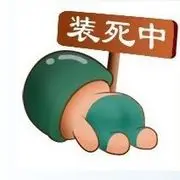 广州一流氓兔
