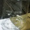 真诚的心q