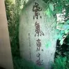 两颗心一起飞t