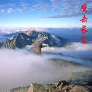 孤鹰放到莹莹