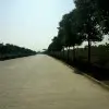 F恋心