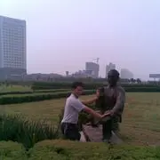 ♫西军❤天蝶舞祥云
