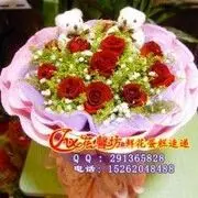 ☛游客☚