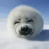 嵐色滨汾