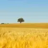 红尘堕落使