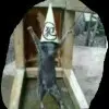 唐文双