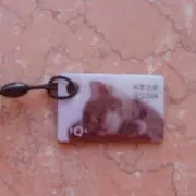 ✦采蜜