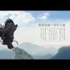 时光皓韵