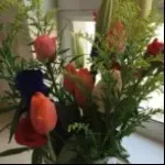 是不是早死啊
