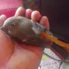 二月草青青
