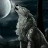 爱燕e