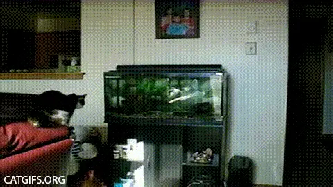 ☜ℒℴvℯ❤魚儿☞的主播照片