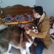 ☜❤关心❤☞