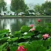 渔搻麼噯氺~氺却煮渔