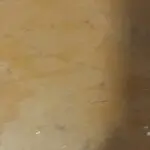骑着驴逛商场看美女