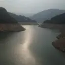 护哥~
