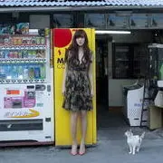 シ灬丽人保镖