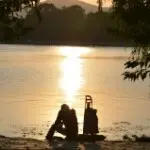 MMC漂流木