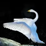 ★★★河北小妞★★★