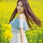 ←═梅花三弄╬∞