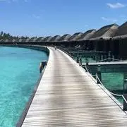 ★假装