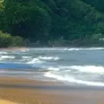 ╭★风雨同舟