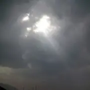 夜来风雨声花落知多少