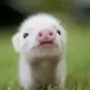 ღ苏小募ღ